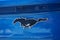 2026 Ford Mustang Mach-E Select AWD