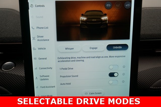 2025 Ford Mustang Mach-E Premium AWD