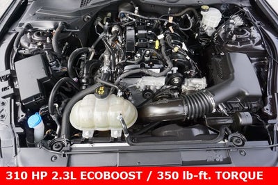 2023 Ford Mustang EcoBoost