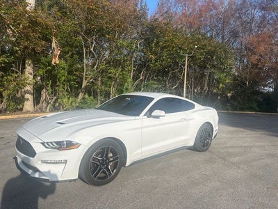2019 Ford Mustang EcoBoost