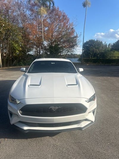 2019 Ford Mustang EcoBoost
