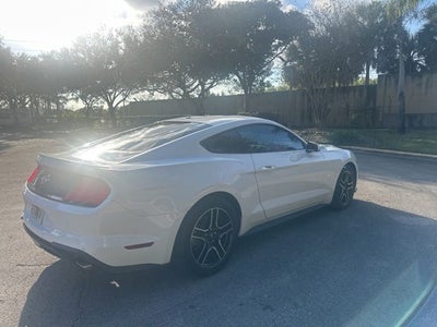 2019 Ford Mustang EcoBoost