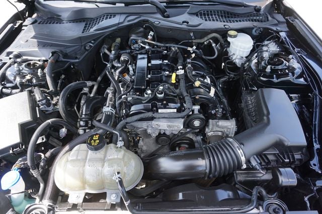2021 Ford Mustang EcoBoost