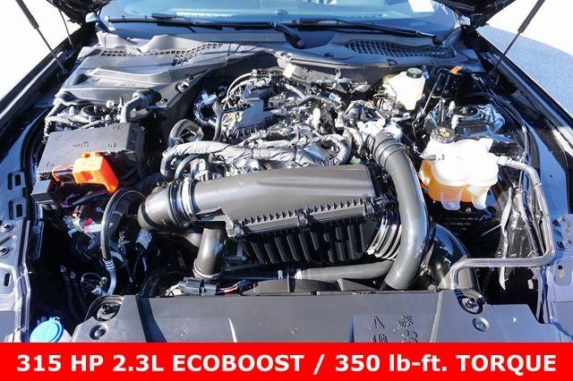 2025 Ford Mustang EcoBoost