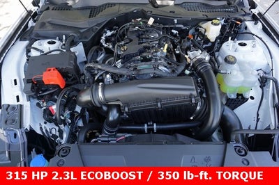 2025 Ford Mustang EcoBoost® Fastback