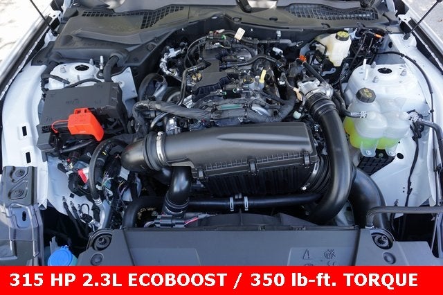 2025 Ford Mustang EcoBoost® Fastback