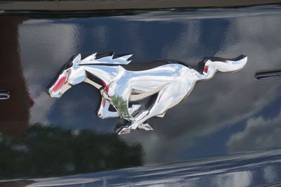 2023 Ford Mustang EcoBoost