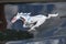 2023 Ford Mustang EcoBoost