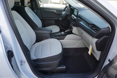 2026 Ford Escape Active®