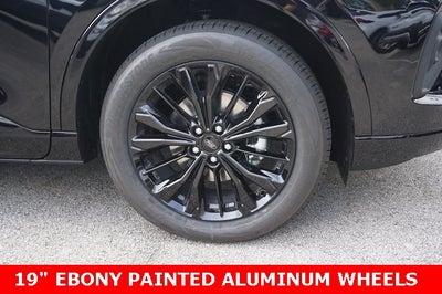 2026 Ford Escape Hybrid ST-Line Elite