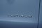 2027 Ford Expedition Max MAX Platinum