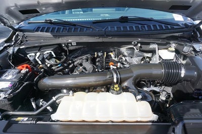 2023 Ford Expedition XLT