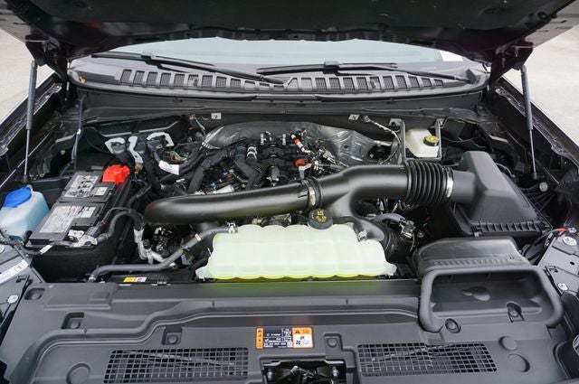 2026 Ford Expedition Platinum®