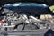 2020 Ford F-350SD Lariat Super Duty