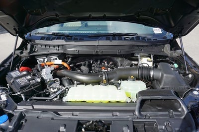 2026 Ford F-150 Base