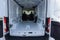2026 Ford Transit-150 Cargo Van
