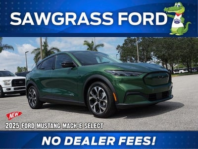 2025 Ford Mustang Mach-E Base