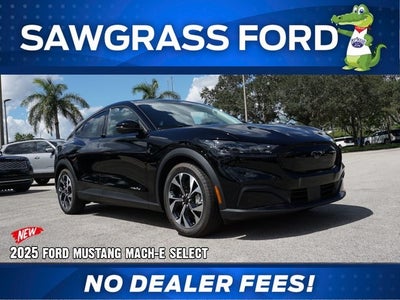 2025 Ford Mustang Mach-E Base