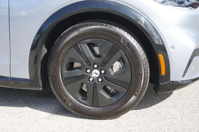 2022 Ford Mustang Mach-E California Route 1