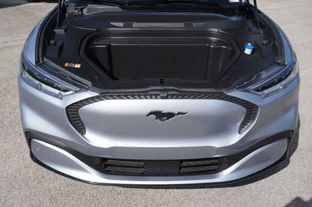 2022 Ford Mustang Mach-E California Route 1