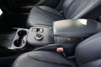 2022 Ford Mustang Mach-E California Route 1