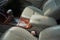 2005 Toyota Camry Base